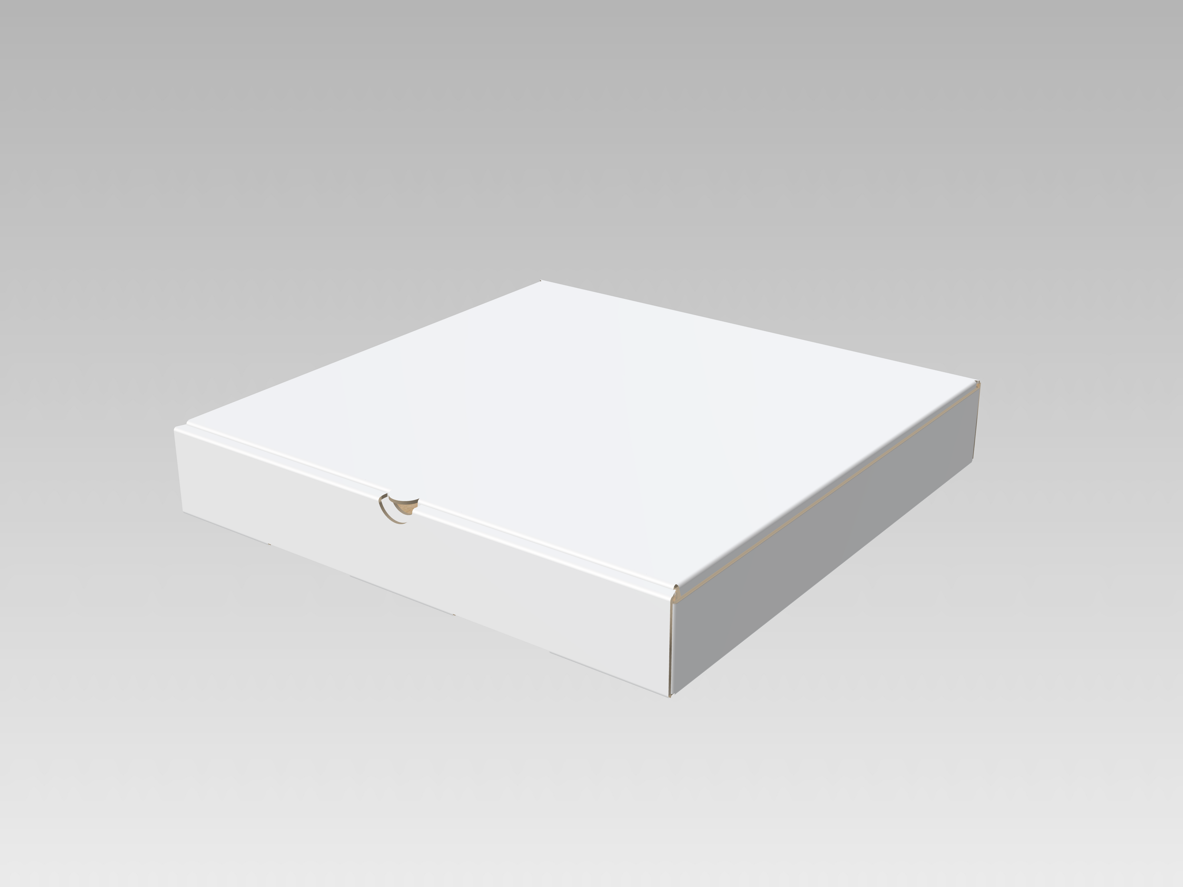 Medium Pizza Box with Single Colour Print 10x10"